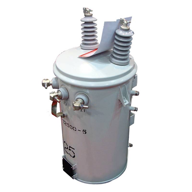 pole mounted Single Phase Overhead distribution Transformer 2